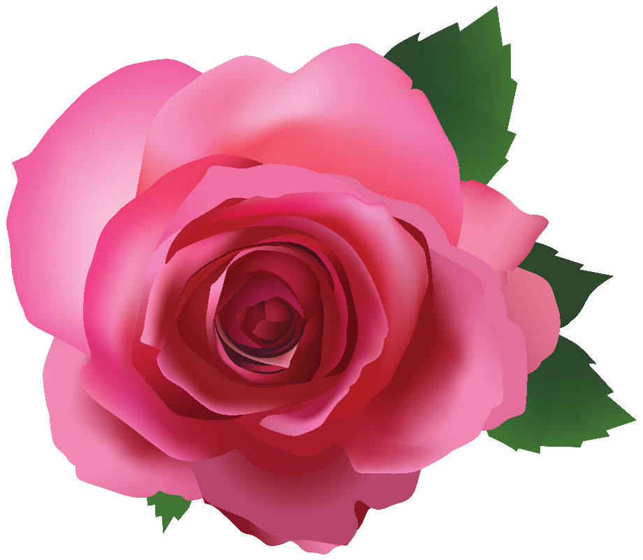 Download High Quality rose transparent pink Transparent PNG Images ...
