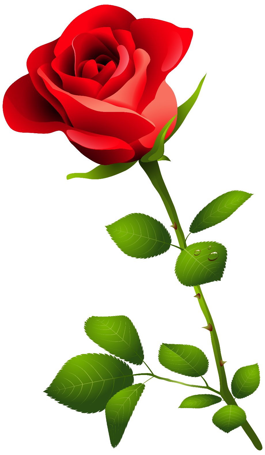 Download High Quality roses clipart red Transparent PNG Images - Art ...