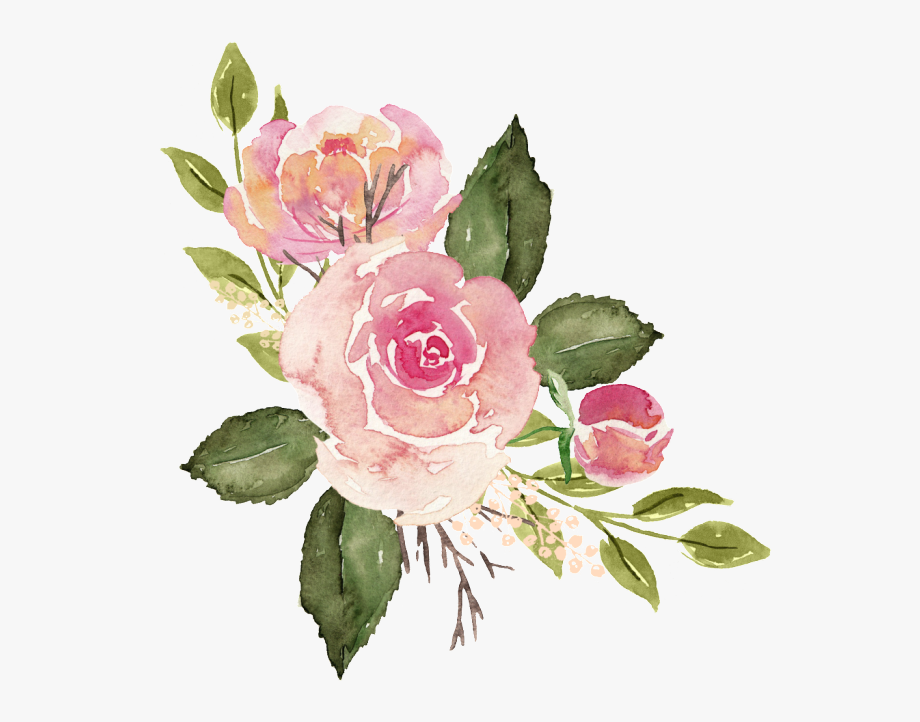 Download High Quality roses clipart watercolor Transparent PNG Images ...