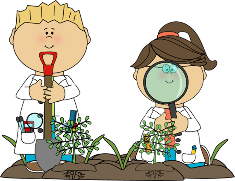 science clipart plant
