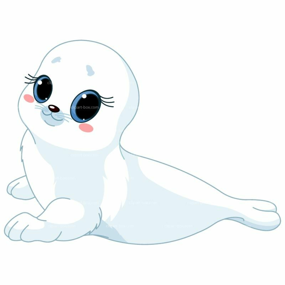 seal clipart white