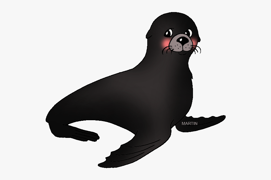 seal clipart trained
