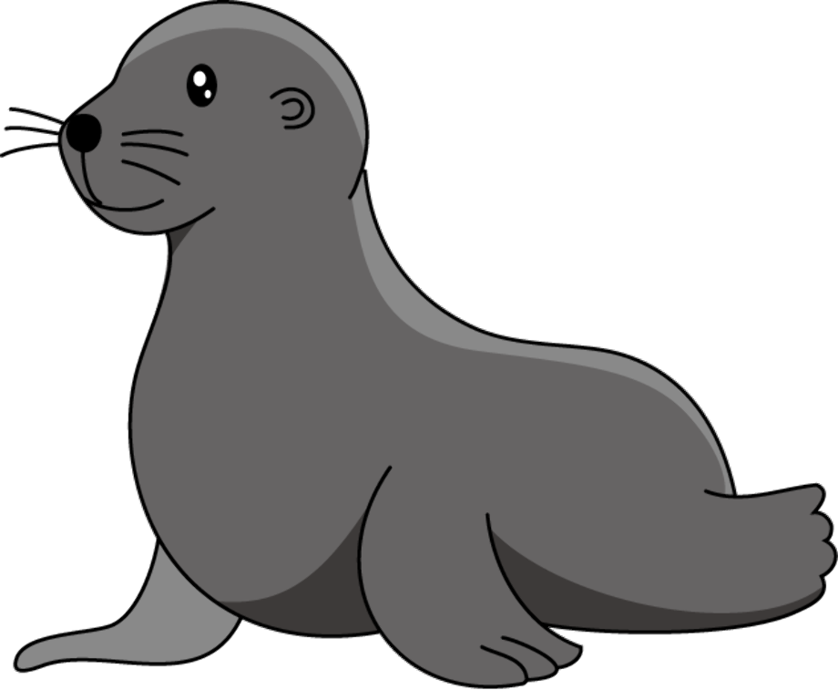 seal clipart drawing
