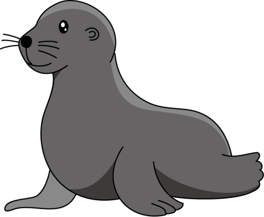 Download High Quality seal clipart drawing Transparent PNG Images - Art