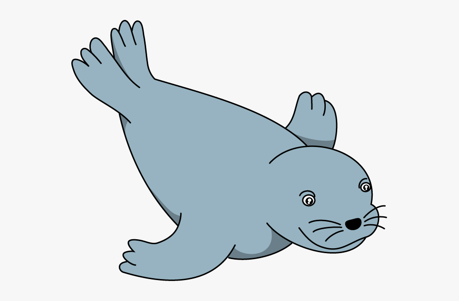 seal clipart adorable