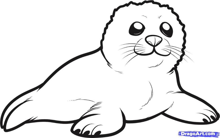 Download High Quality seal clipart outline Transparent PNG Images - Art ...