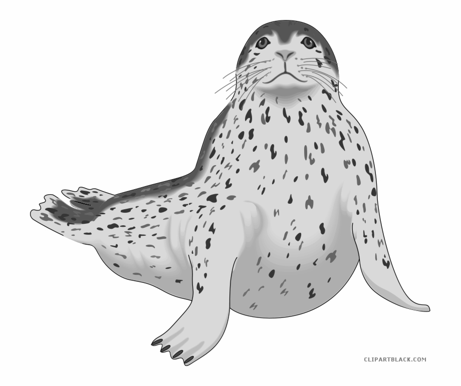 seal clipart leopard