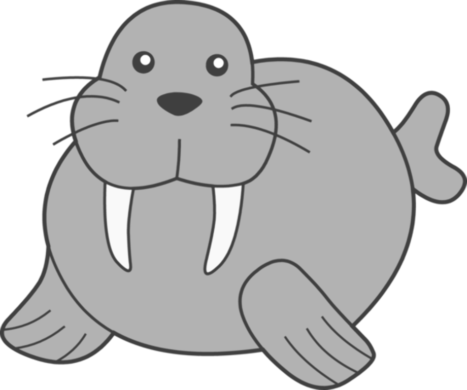 seal clipart walrus