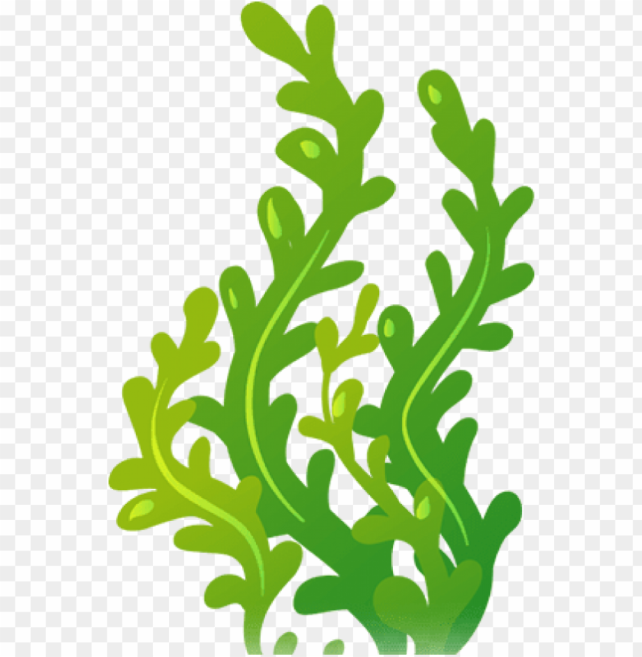 seaweed clipart blue