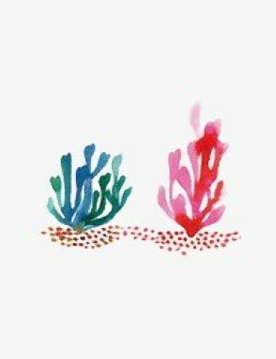 Seaweed clipart colorful.
