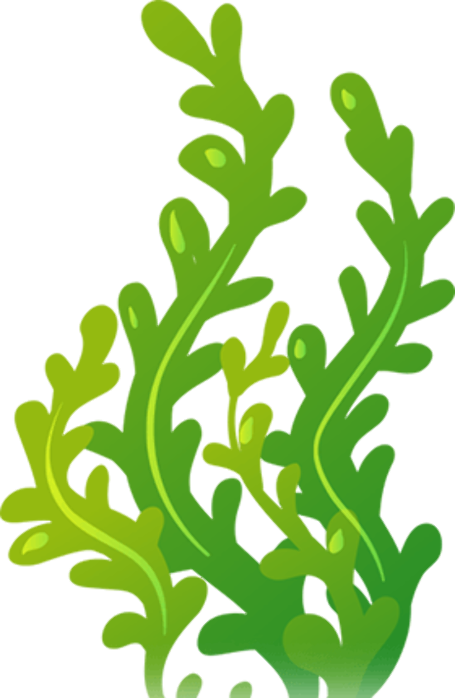 Download High Quality seaweed clipart colorful Transparent PNG Images ...