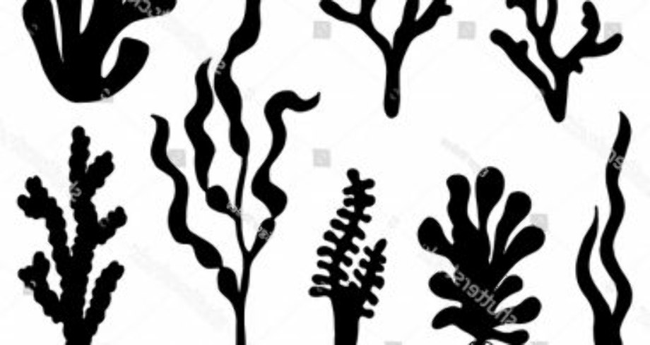 seaweed clipart silhouette