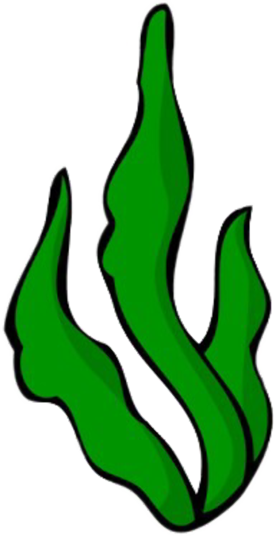 Cartoon Seaweed Transparent Background Png