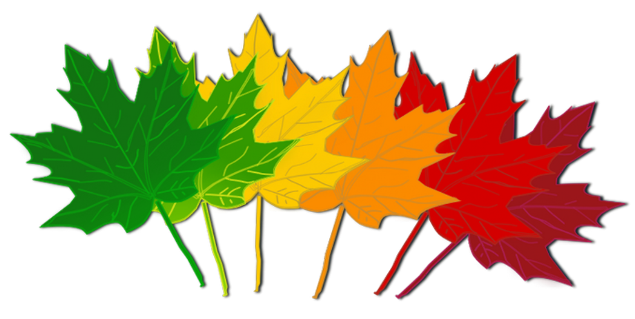 fall leaves clipart divider