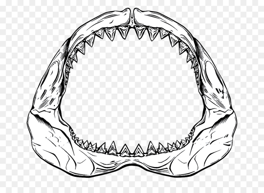 shark clipart jaws