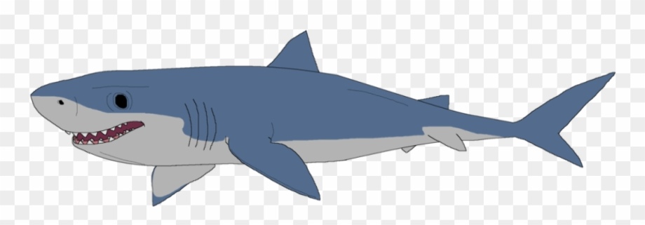 shark clipart mako