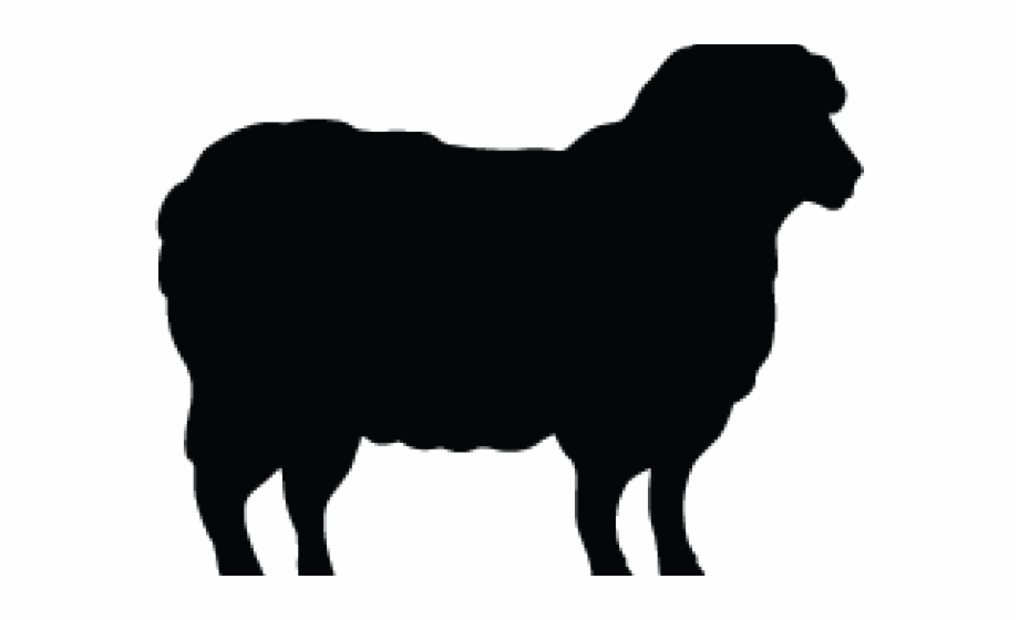 Download Download High Quality lamb clipart silhouette Transparent PNG Images - Art Prim clip arts 2019