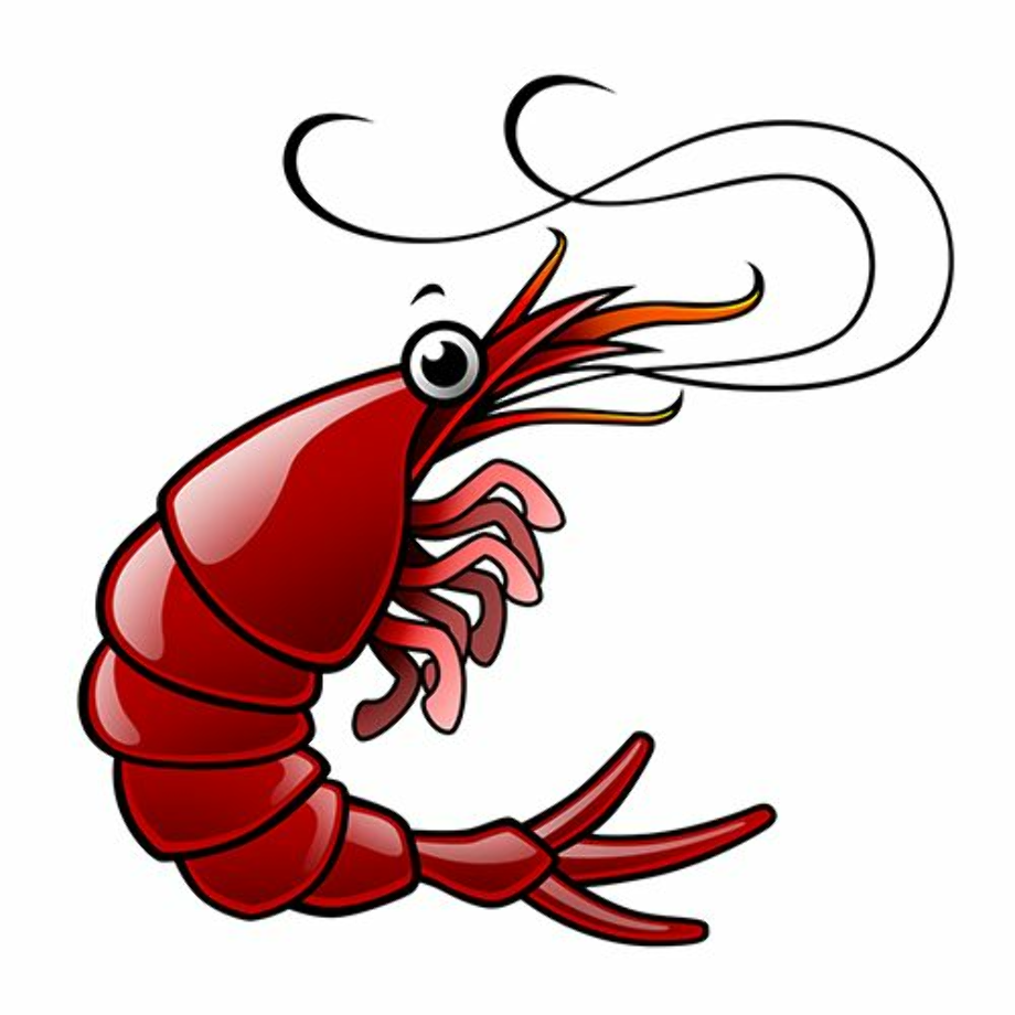 Download High Quality shrimp clipart boil Transparent PNG Images - Art