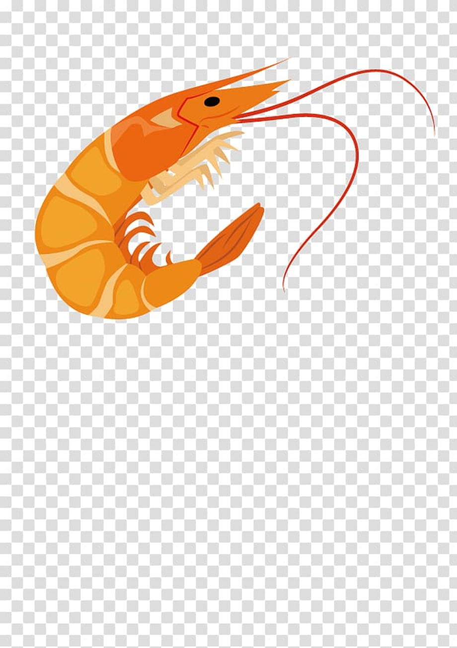 Download High Quality shrimp clipart border Transparent PNG Images ...