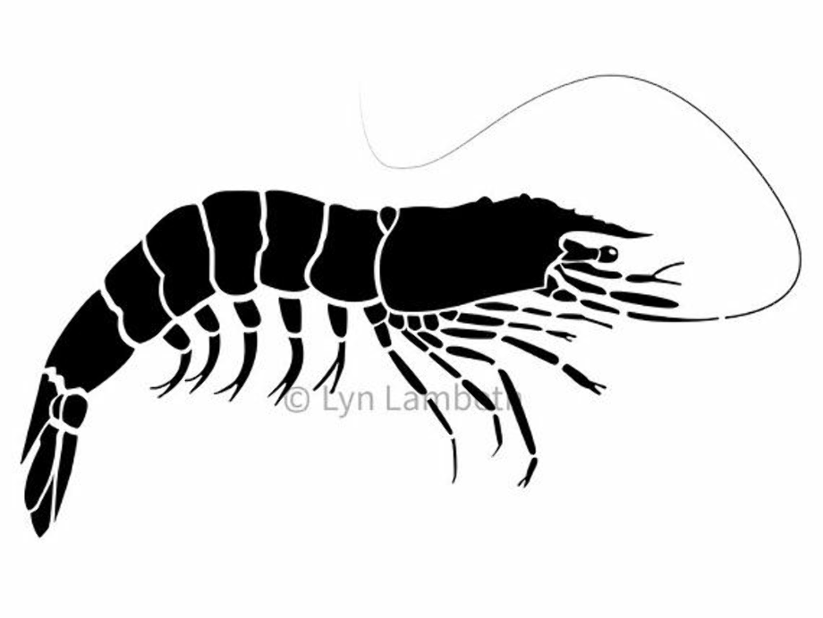 Download High Quality shrimp clipart silhouette Transparent PNG Images
