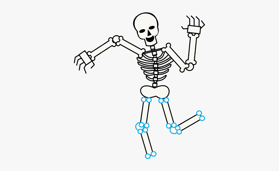 Download High Quality Skeleton Clipart Body Transparent PNG Images.