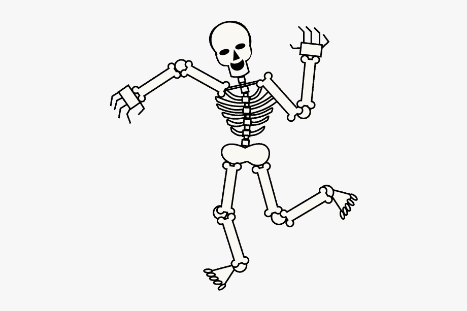 Skeleton clipart simple.