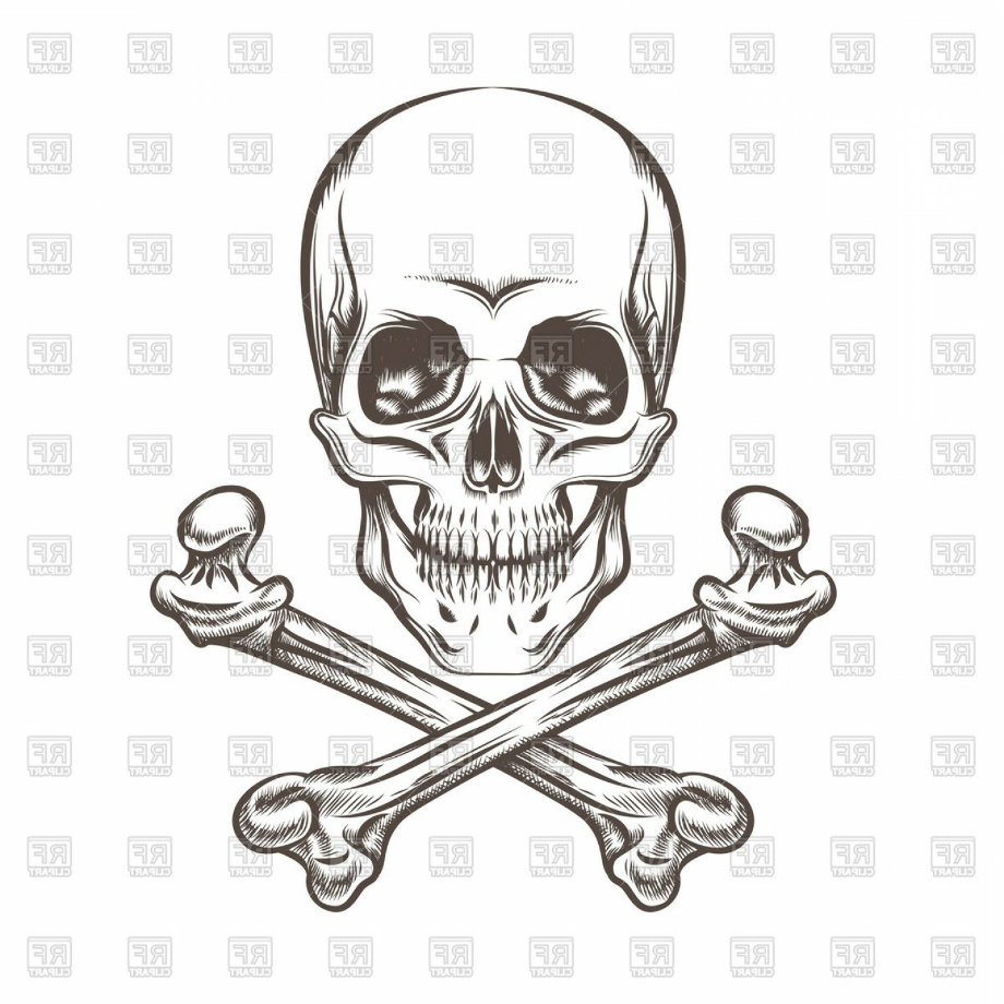 Download High Quality skull and crossbones clipart vector Transparent ...