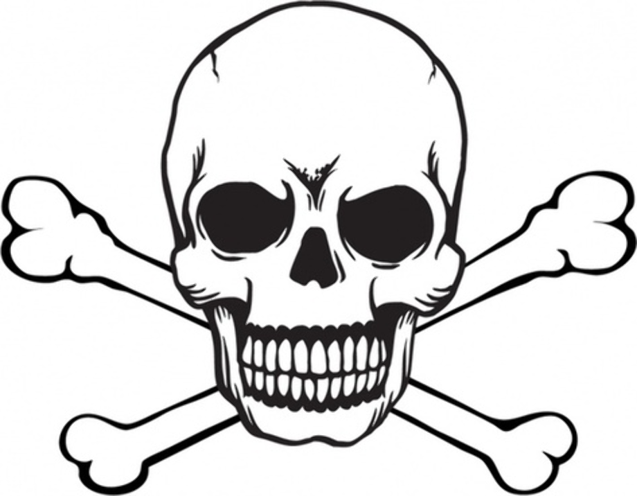 download skull and skeleton