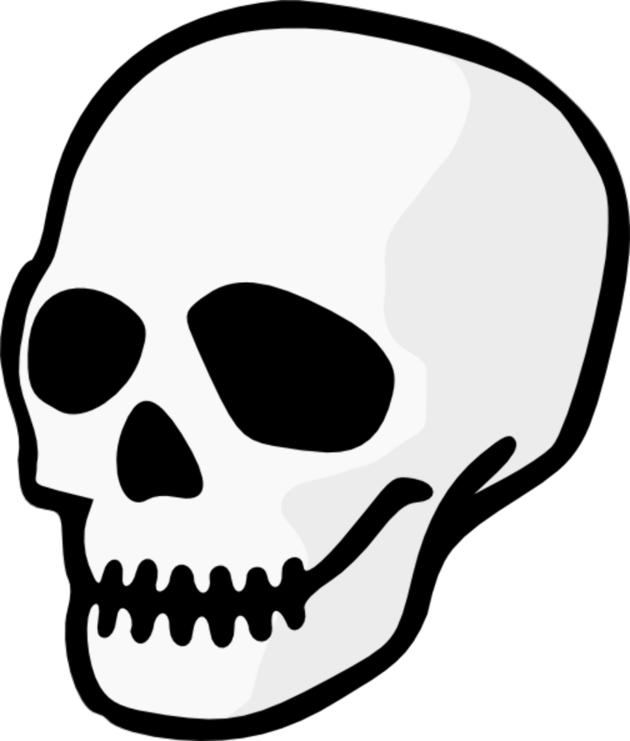 skull transparent simple