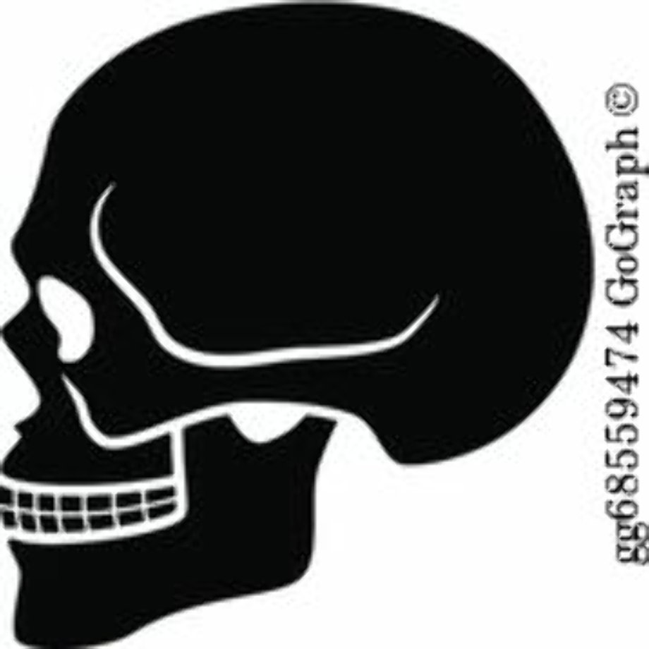 skull clipart side