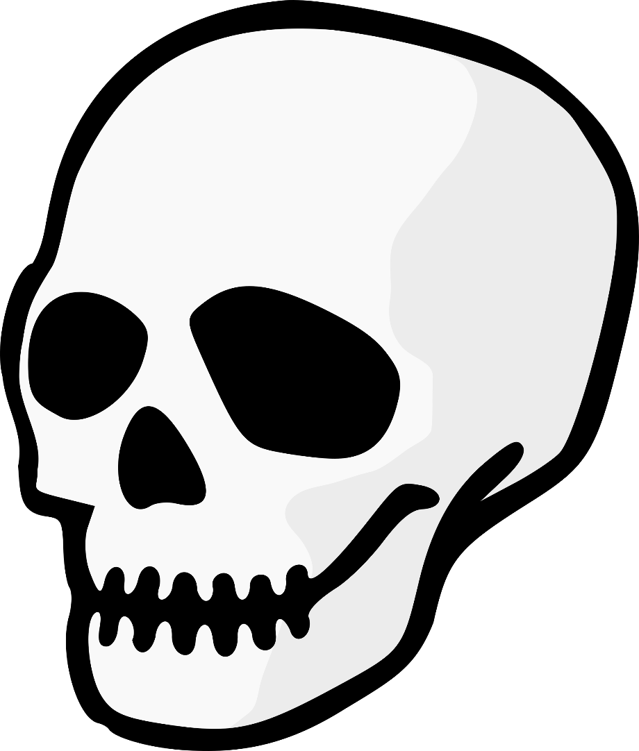 skull transparent halloween