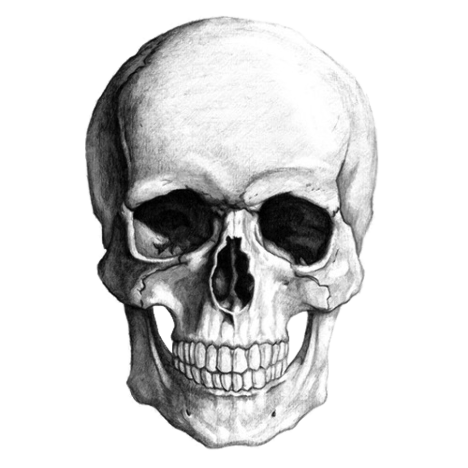 Download High Quality skull transparent Transparent PNG Images - Art