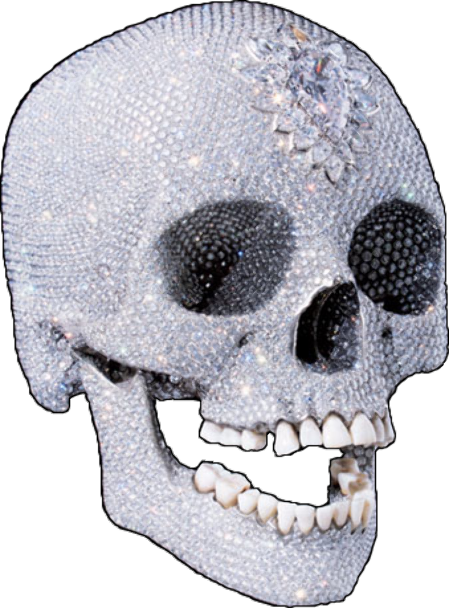 Download High Quality skull transparent side Transparent PNG Images