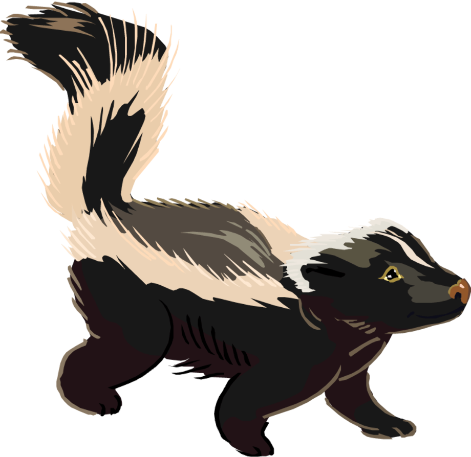 skunk clipart angry