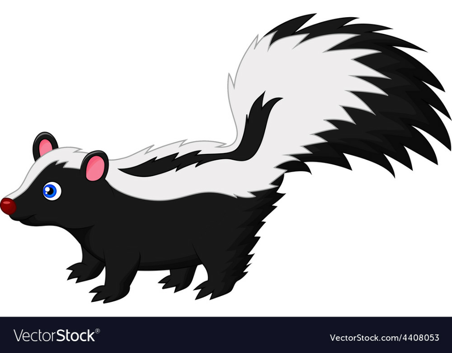skunk clipart vector