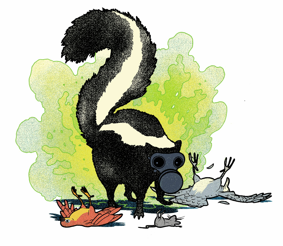 Download High Quality skunk clipart spray Transparent PNG Images - Art