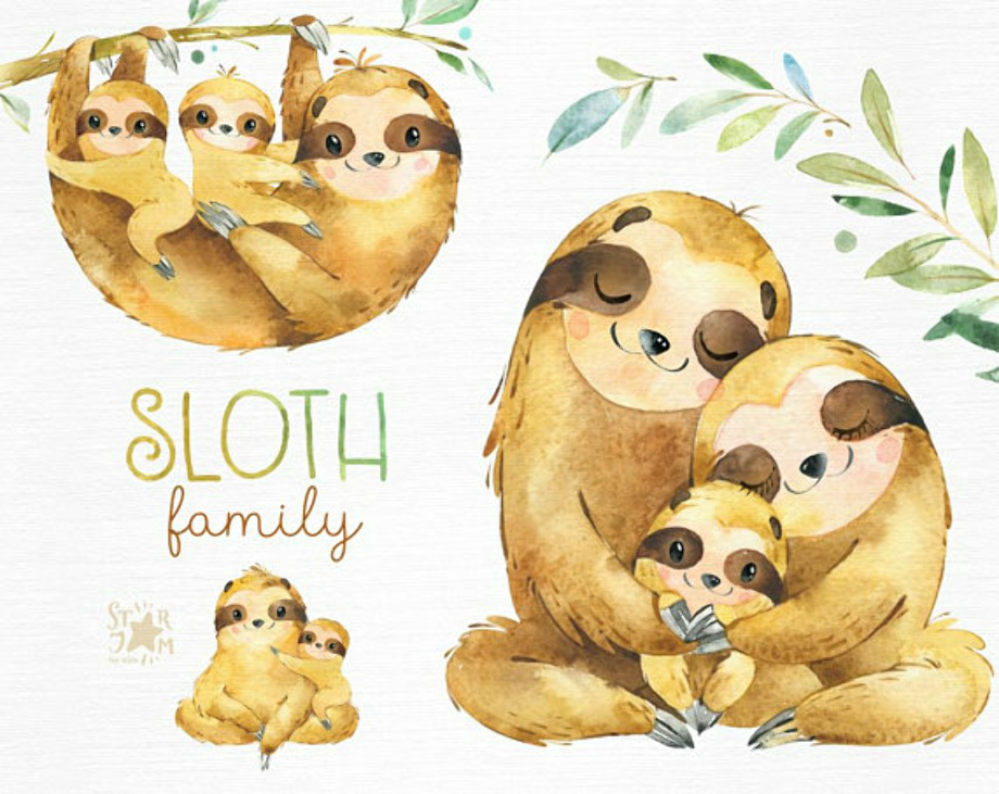 sloth clipart watercolor