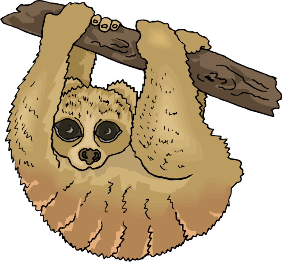 sloth clipart animal