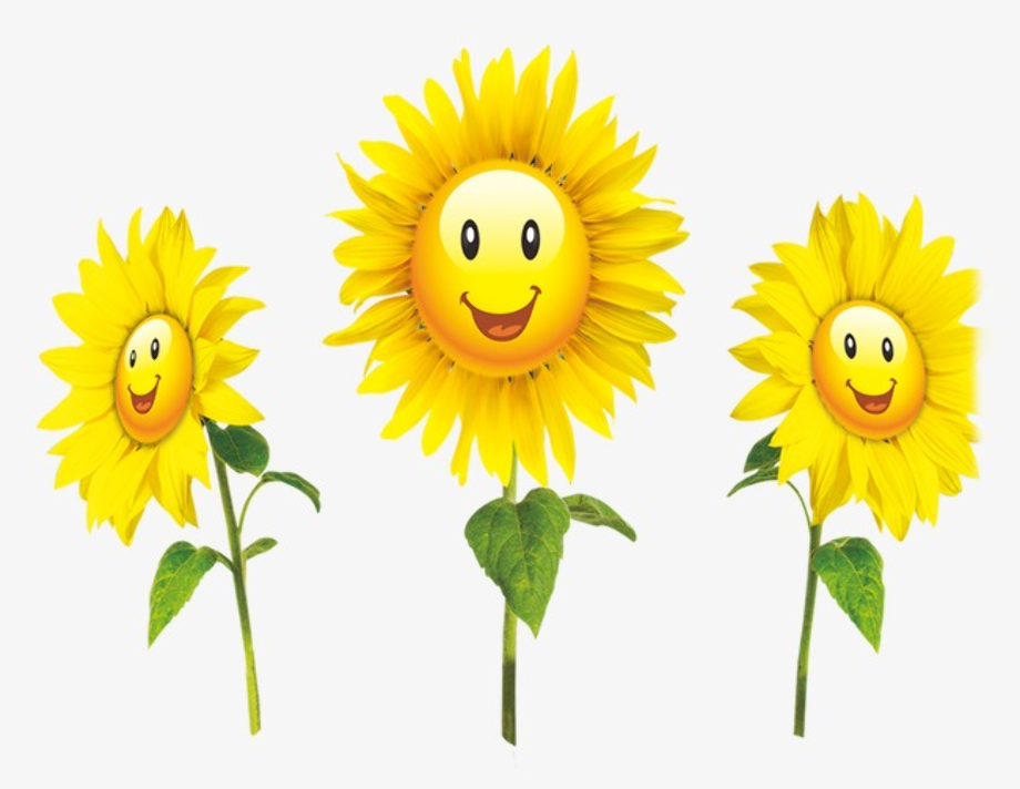 Download High Quality smile clipart sunflower Transparent PNG Images
