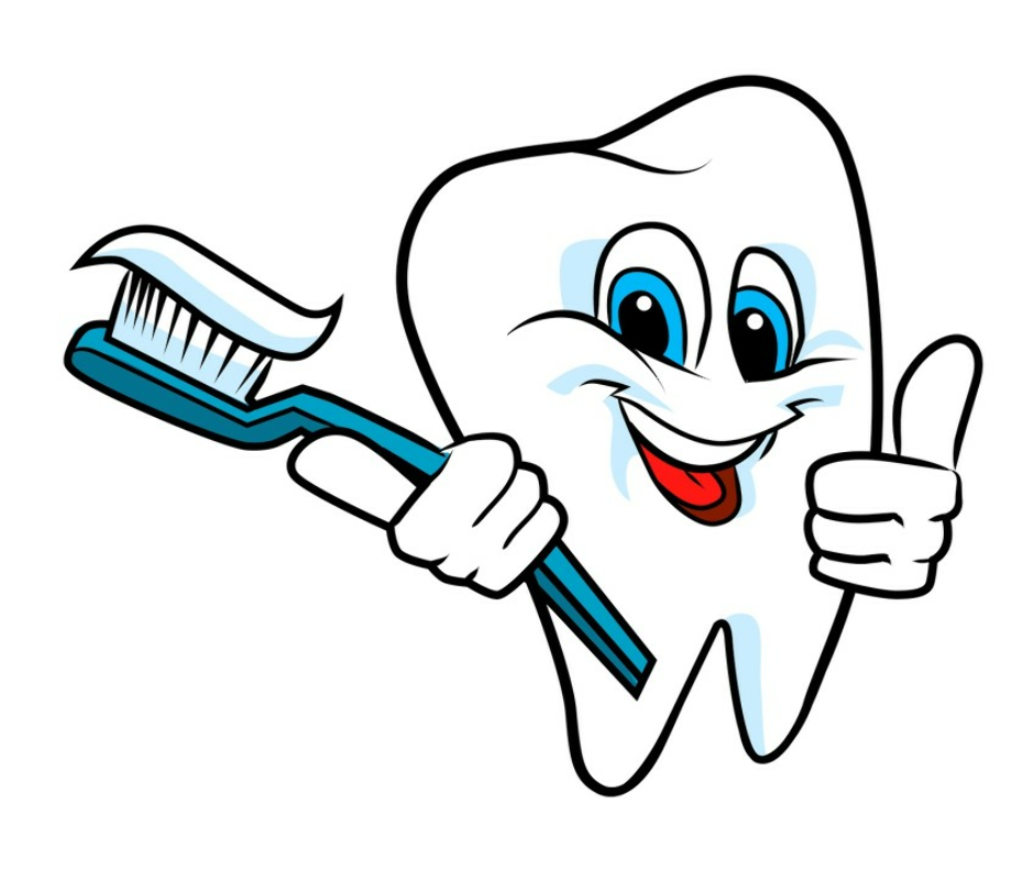 tooth clipart brush