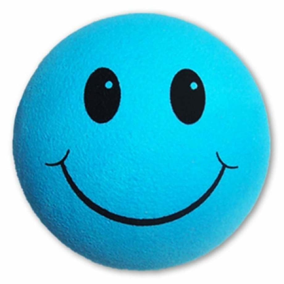 smiley face clipart blue