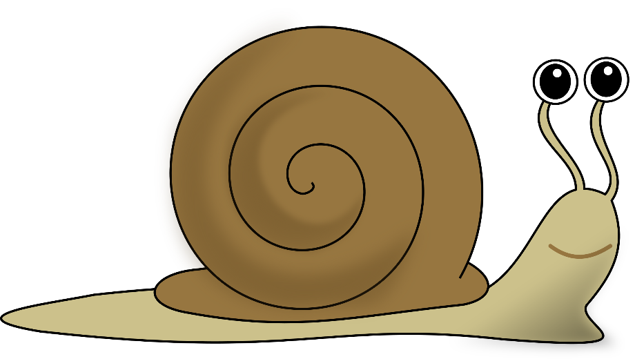 snail clipart sea