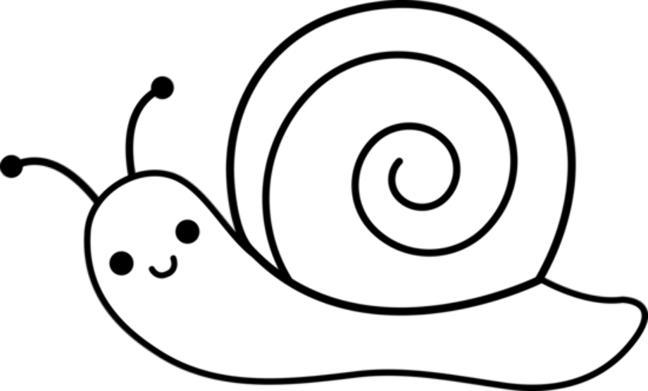 snail clipart outline