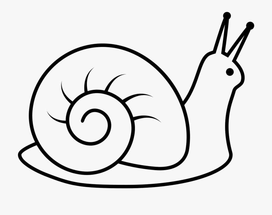 snail clipart black and white