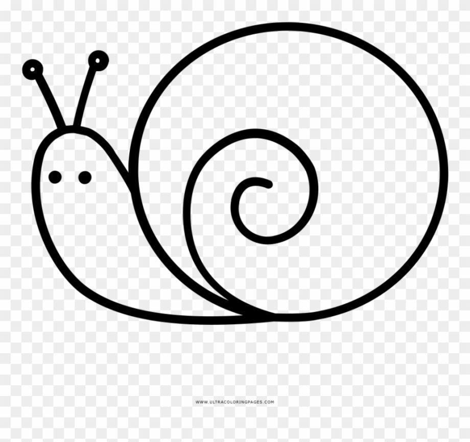 Download High Quality snail clipart coloring Transparent PNG Images