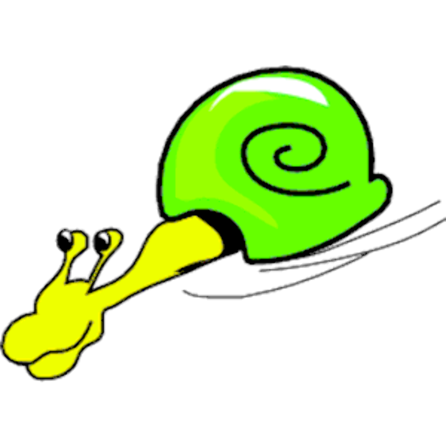 snail clipart racing