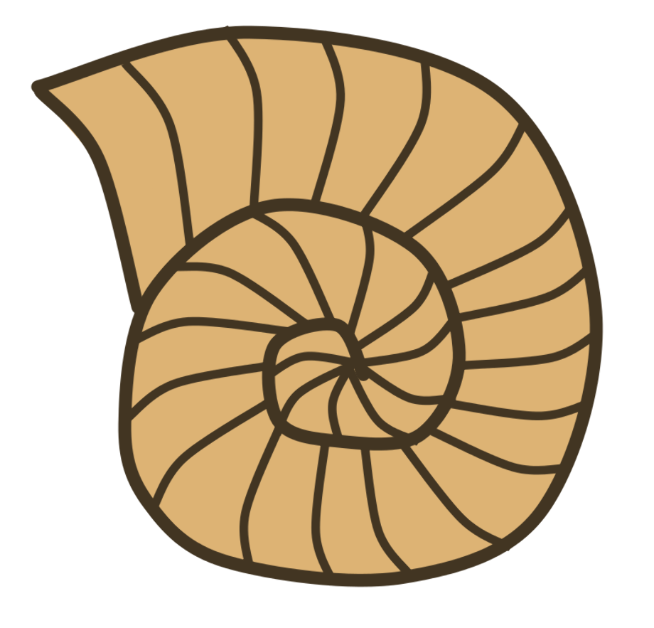 snail clipart shell