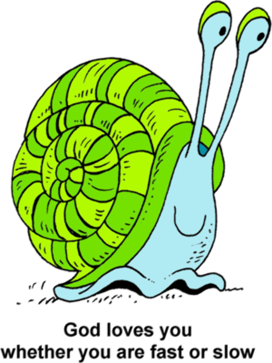 Download High Quality snail clipart slow Transparent PNG Images - Art