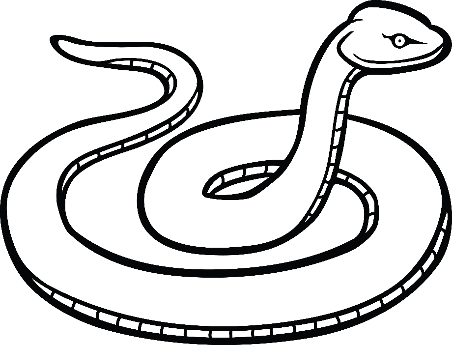 snake clipart black and white