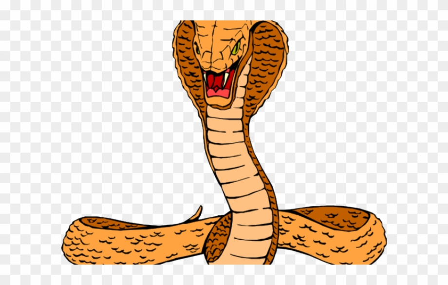 snake clipart realistic
